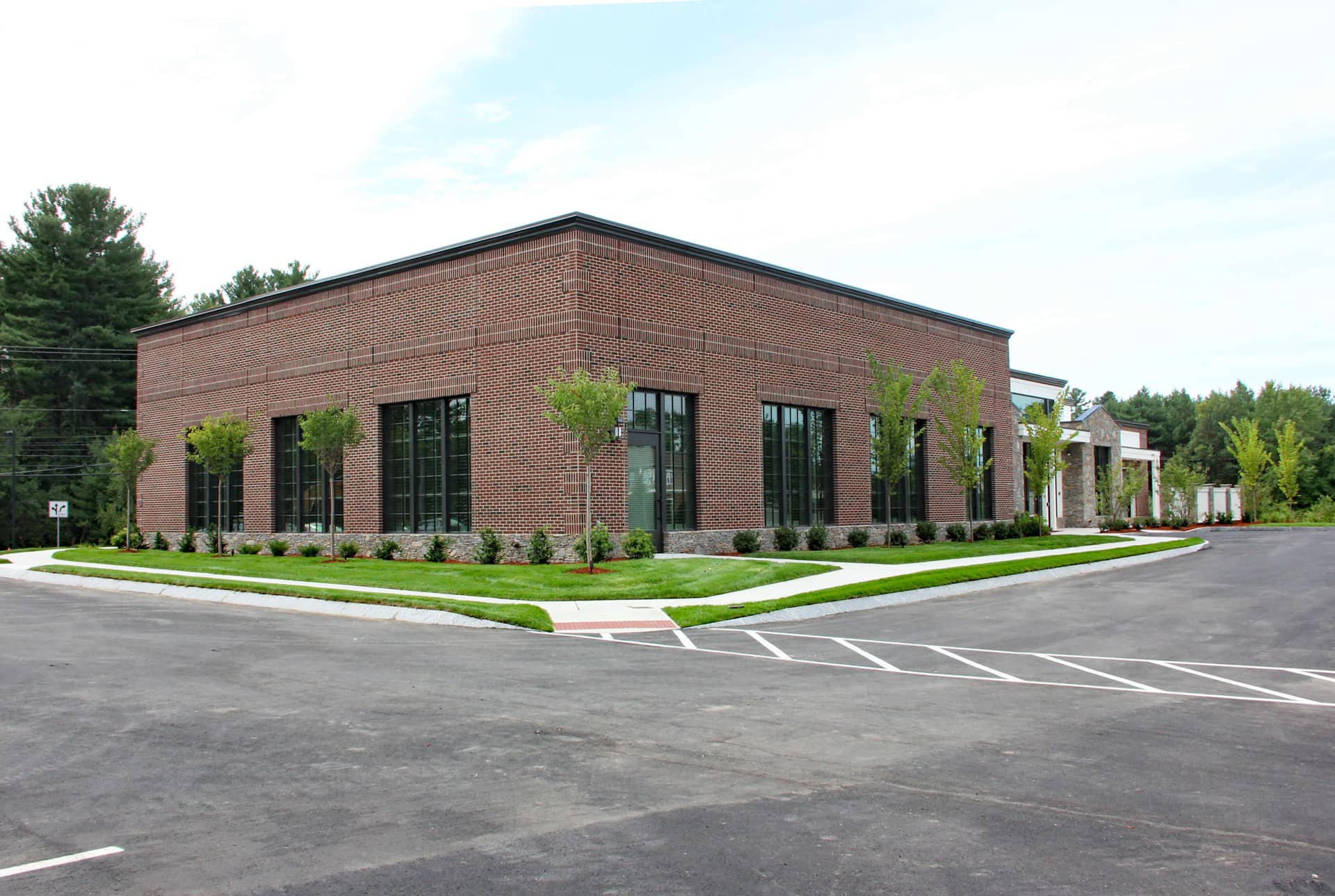 Tree and shrub planting
