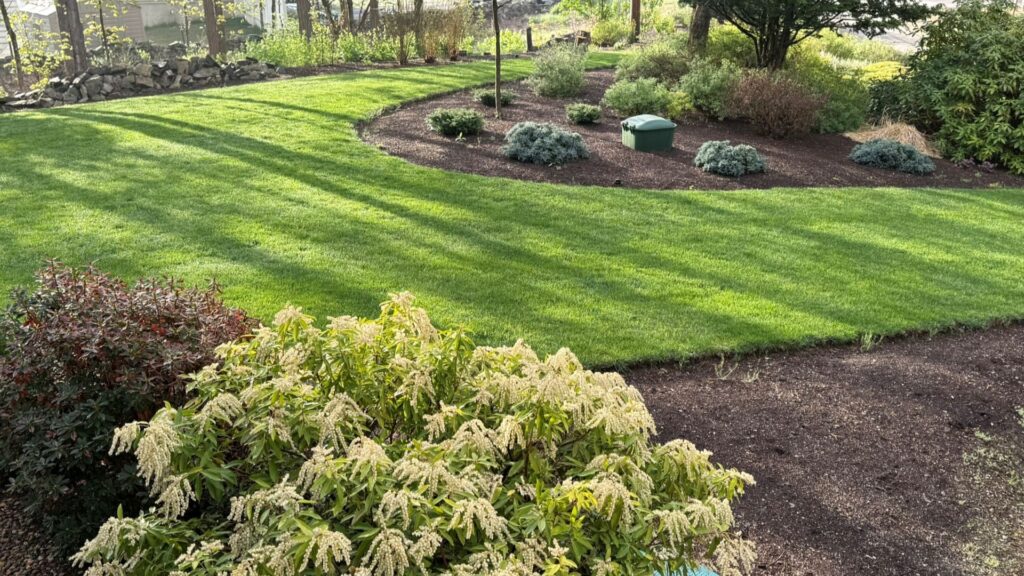 Lush green lawn with ornamental shrubs and flowers, showcasing a well-designed irrigation system for landscape plants, emphasizing plant health and efficient watering techniques.