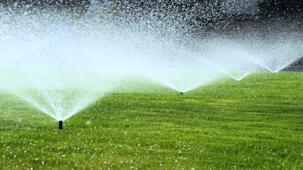 Irrigation system spraying water on lush green lawn, showcasing automated watering for landscape maintenance and health.