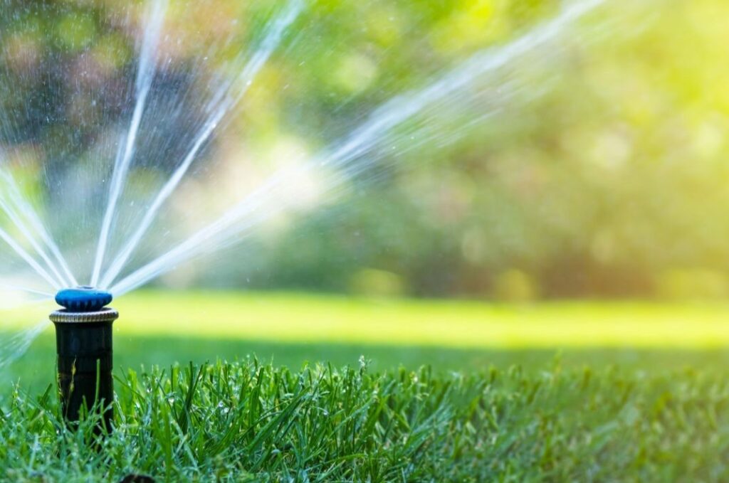 MP rotator irrigation spray head watering lush green grass in a landscaped garden, demonstrating efficient irrigation techniques for plant health.