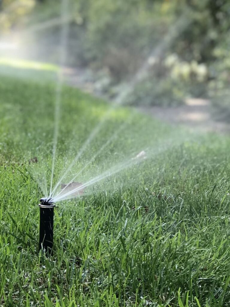 Spray head watering system releasing water onto lush green grass, illustrating effective irrigation for planting beds.
