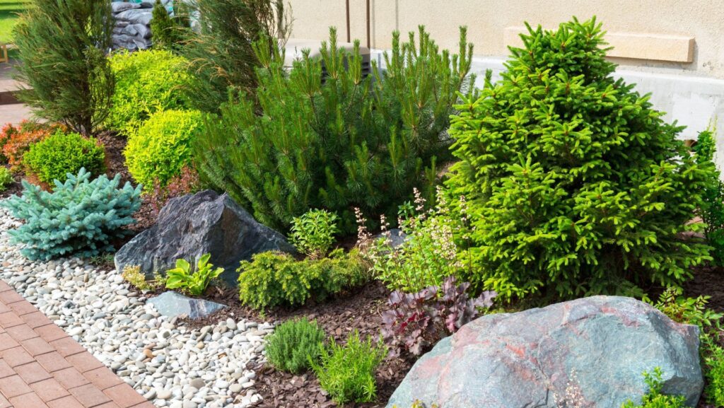 Lush landscape featuring diverse new plantings, including shrubs, conifers, and ornamental stones, emphasizing the importance of proper watering for establishment in landscaping.