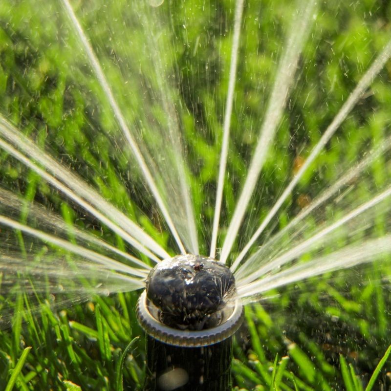 Sprinkler head spraying water in a lush green lawn, illustrating the benefits of automated irrigation systems for consistent plant health and landscape maintenance.