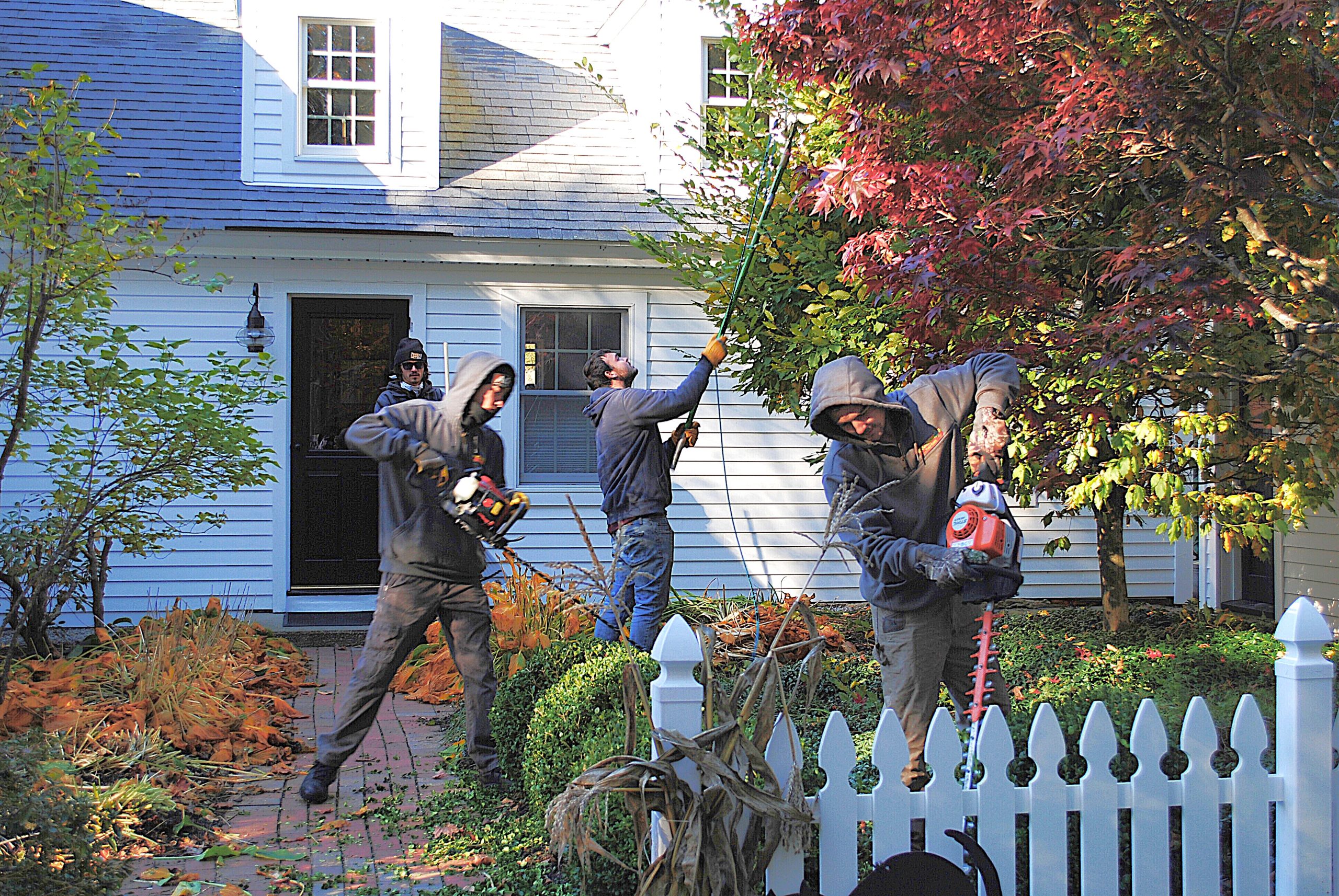 Four landscapers performing seasonal yard maintenance, using tools like a hedge trimmer and chainsaw, in front of a residential home with colorful autumn foliage and a white picket fence, emphasizing professional landscape care in Derry, NH.