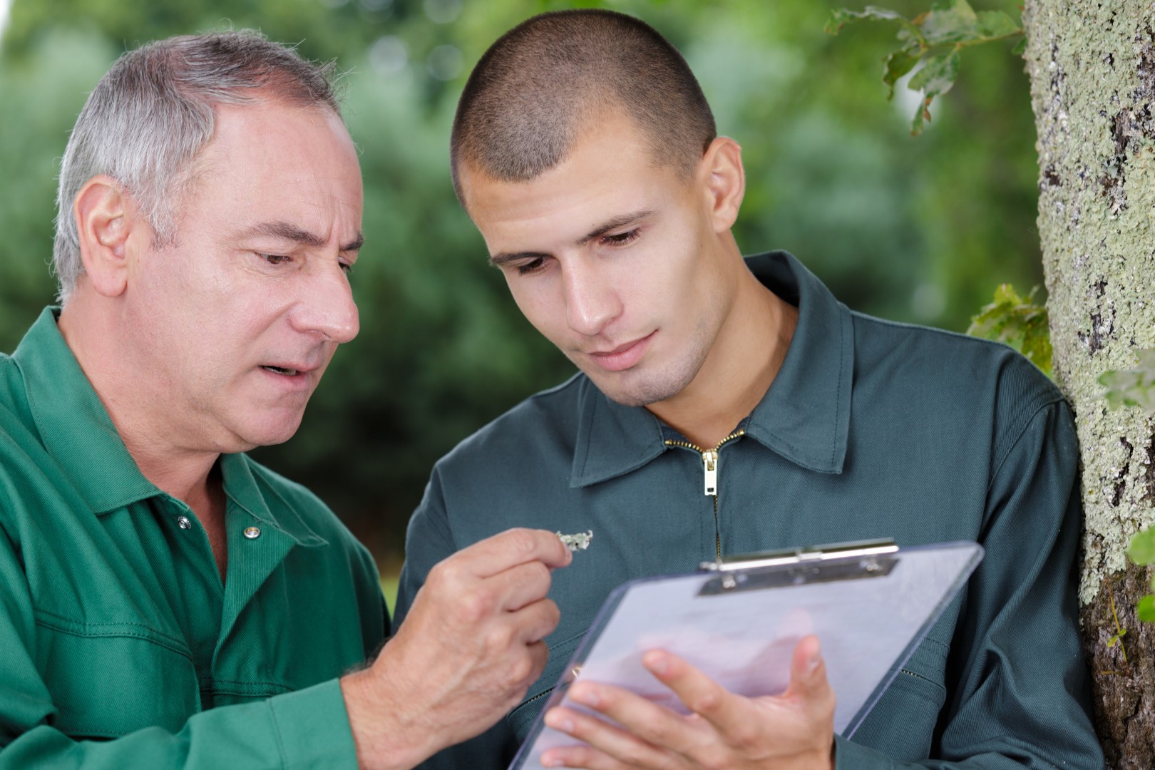 Two landscapers in green uniforms discussing lawn care techniques, with one holding a clipboard, surrounded by greenery.