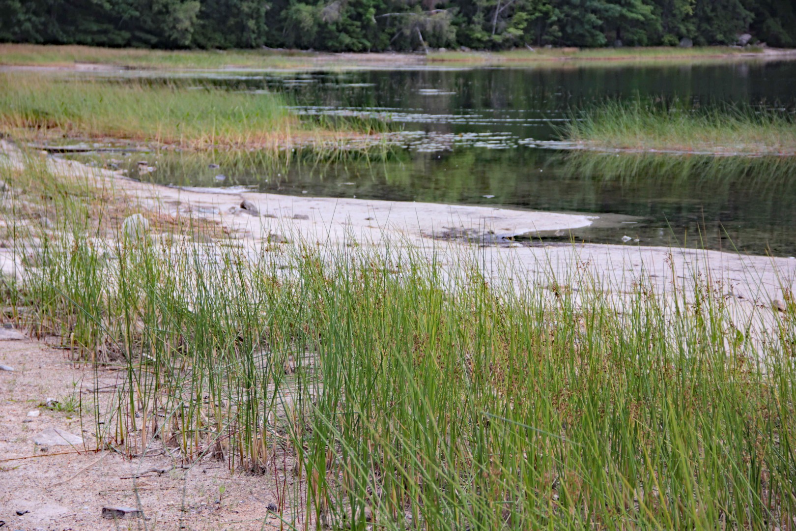 low water in NH reservoir