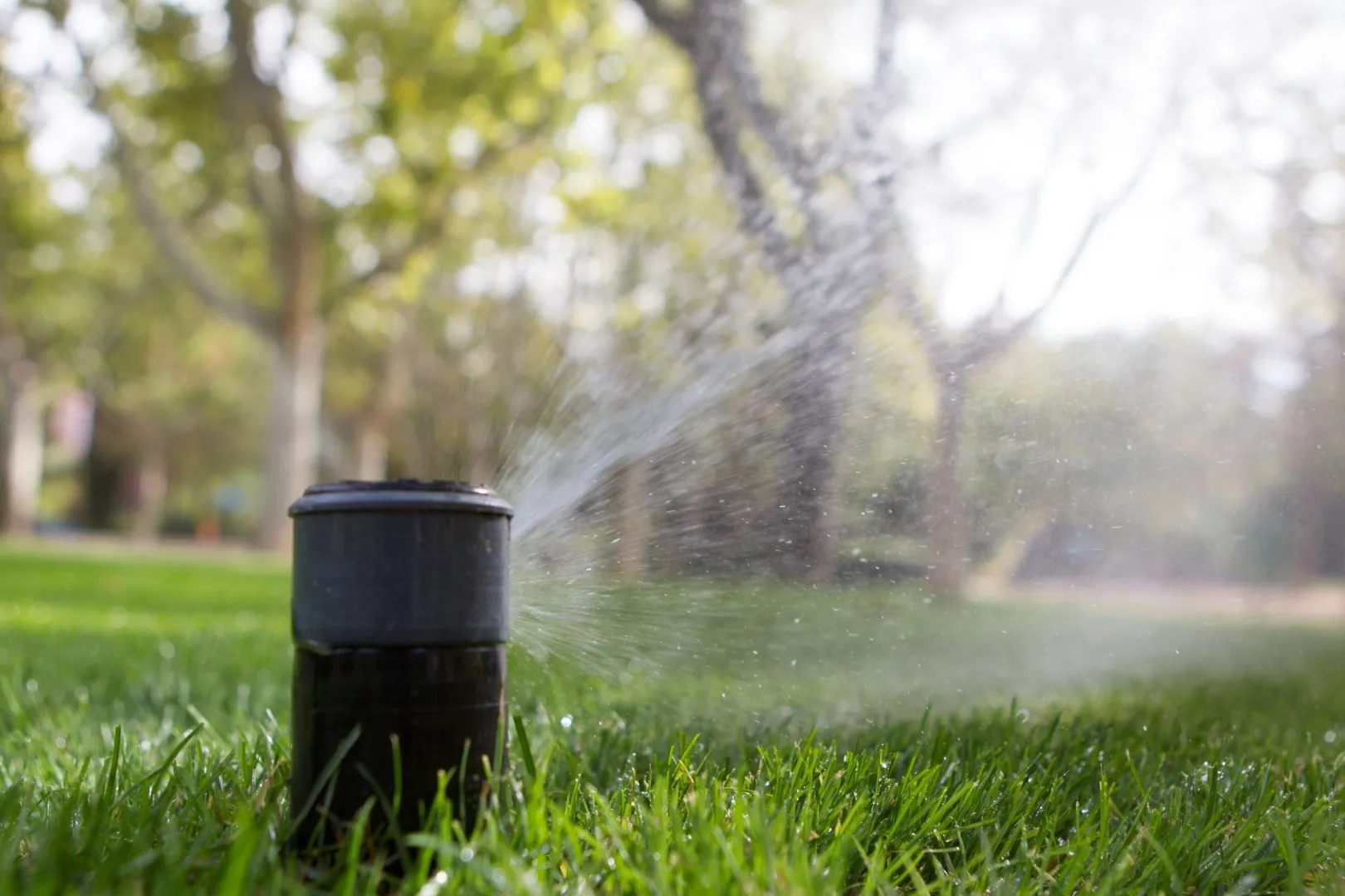 Winterizing Irrigation Head