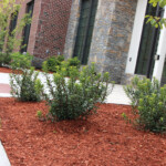 023 Noahs Landscape Bedford NH