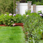 030 Groundhog Commercial Landscaping