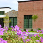 031 Bedford NH Commercial Landscaping